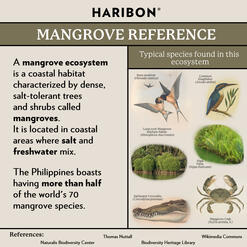 Inforgraphic Haribon
